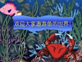 人美版（2024）美術(shù)一上第17課《誰畫的魚最大》參考課件