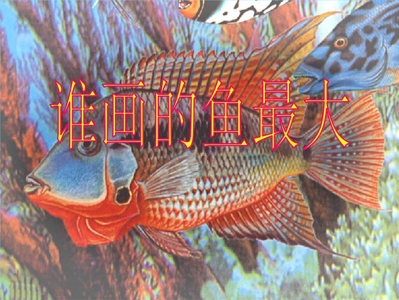 人美版（2024）美术一上第17课《谁画的鱼最大》教学参考课件第1页