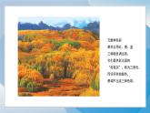 1《三原色三間色》（2024-2025）蘇少版美術(shù)二年級下冊PPT課件