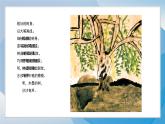 11《水墨畫(huà)樹(shù)》（2024-2025）蘇少版美術(shù)二年級(jí)下冊(cè)PPT課件
