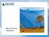1《色彩明度漸變》（2024-2025）蘇少版美術(shù)三年級(jí)上冊(cè)PPT課件