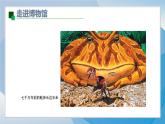 14《遠(yuǎn)古的動(dòng)物朋友》（2024-2025）蘇少版美術(shù)三年級(jí)下冊(cè)PPT課件