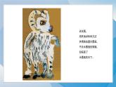 17《水墨情趣》（2024-2025）蘇少版美術(shù)三年級(jí)下冊(cè)PPT課件