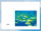 18《重復(fù)的形》（2024-2025）蘇少版美術(shù)三年級下冊PPT課件