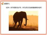 新教材浙美版一年级上册美术第四单元撕撕剪剪第十二课影像撕纸课件