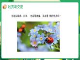 新教材冀美版一年级上册美术第一单元小小艺术家第一课我能发现美课件