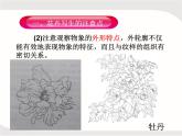 人教版美術(shù)五年級上冊課外拓展：紋樣的寫生與變化——花卉PPT