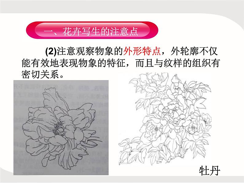 人教版美术五年级上册课外拓展：纹样的写生与变化——花卉PPT第3页