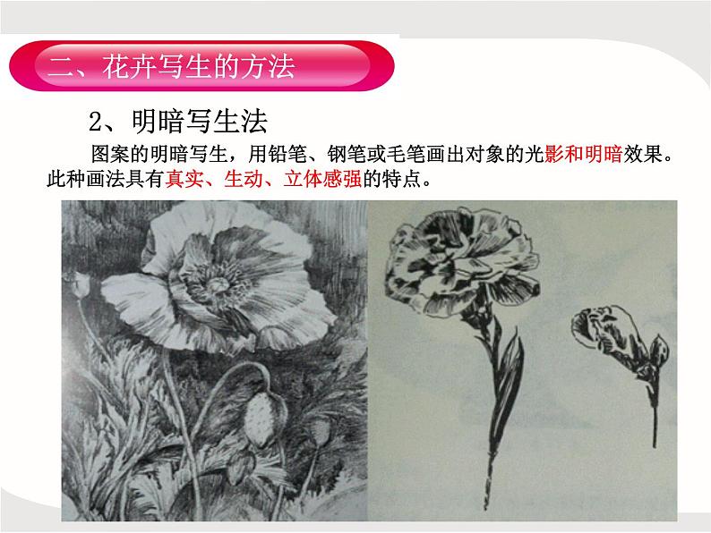 人教版美术五年级上册课外拓展：纹样的写生与变化——花卉PPT第7页