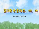 13《會(huì)變的花樹葉》（2024-2025）蘇少版美術(shù)二年級(jí)下冊PPT課件