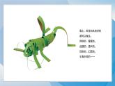 15《蟲(chóng)蟲(chóng)蟲(chóng)（2）》（2024-2025）蘇少版美術(shù)二年級(jí)下冊(cè)PPT課件