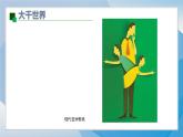 18《剪紙（2）》（2024-2025）蘇少版美術(shù)三年級上冊PPT課件
