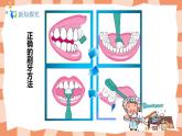 人美版美術(shù)二年級上冊13.《刷牙 》課件