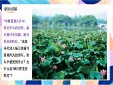 浙美版美术五年级下册第十八课《映日荷花别样红》 课件+教案+素材