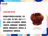 浙美版美术五年级下册第十九课《中国漆器》课件+教案+素材