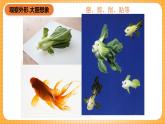 人教版美術(shù)二年級(jí)下冊(cè)第11課《蔬果變變變》課件