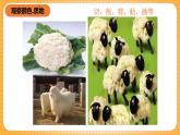 人教版美術(shù)二年級(jí)下冊(cè)第11課《蔬果變變變》課件