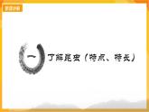 【新课标】岭南版美术三年级上册7《可爱的水墨昆虫》课件+教案