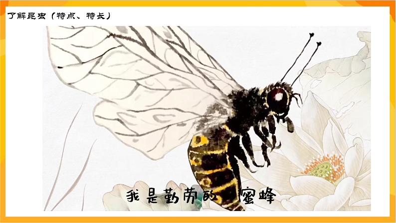 【新课标】岭南版美术三年级上册7《可爱的水墨昆虫》课件第3页