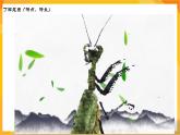 【新课标】岭南版美术三年级上册7《可爱的水墨昆虫》课件+教案