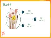 【新课标】岭南版美术三年级上册10《我的动物朋友》课件+教案