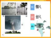 【新課標】嶺南版美術三年級上冊12《刮大風》課件+教案