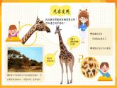 【新課標(biāo)】嶺南版美術(shù)三年級(jí)上冊(cè)16《長(zhǎng)頸鹿的啟示》課件