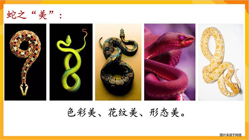 【新课标】岭南版美术二年级上册6《可爱的玩具蛇》课件第4页