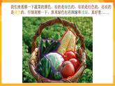 【新課標(biāo)】嶺南版美術(shù)二年級(jí)上冊(cè)9《我家的菜籃子》課件+教案