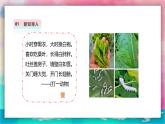 【人教版】一上美術(shù)  第二單元 2 勤勞的蠶寶寶 課件+教案+視頻