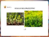 【核心素養(yǎng)優(yōu)質(zhì)課】人美版美術(shù)一下第2單元第1課《花花草草》課件+同步教案+素材