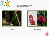 新辽海版 小学美术二下 2-7*《虫趣》精品课件