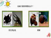 新辽海版 小学美术二下 2-7*《虫趣》精品课件
