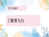 冀美版（2012）小学美术六年级上册 第5课 《黑与白的表现力》（课件）