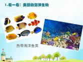 新辽海版小学美术 一年级下册 6-18*《浮游玩具》课件