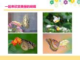 新辽海版小学美术 一年级下册 4-11*《会飞的花朵》课件