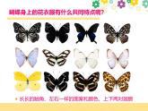 新辽海版小学美术 一年级下册 4-11*《会飞的花朵》课件