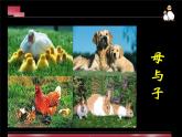 辽海版小学美术四年级下册 4-12《母与子》参考课件