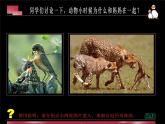 辽海版小学美术四年级下册 4-12《母与子》参考课件