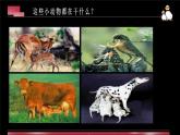 辽海版小学美术四年级下册 4-12《母与子》参考课件