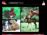 辽海版小学美术四年级下册 4-12《母与子》参考课件