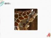 辽海版小学美术四年级下册 4-12《母与子》课件