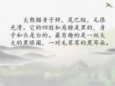辽海版小学美术 二年级下册 8-22《熊猫的家》课件
