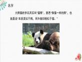 辽海版小学美术 二年级下册 8-22《熊猫的家》精品课件