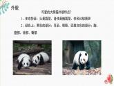 辽海版小学美术 二年级下册 8-22《熊猫的家》精品课件