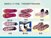 辽海版小学美术 二年级下册 6-18《鞋的联想》参考课件