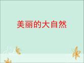 新辽海版小学美术 一年级下册 5-12*《美丽的大自然》参考课件