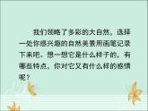 新辽海版小学美术 一年级下册 5-12*《美丽的大自然》参考课件