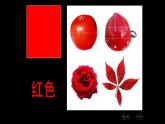 新辽海版小学美术 一年级下册 1-1*《涂涂画画》课件