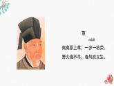 辽海版小学美术 二年级下册 3-9《小草小草我爱你》课件